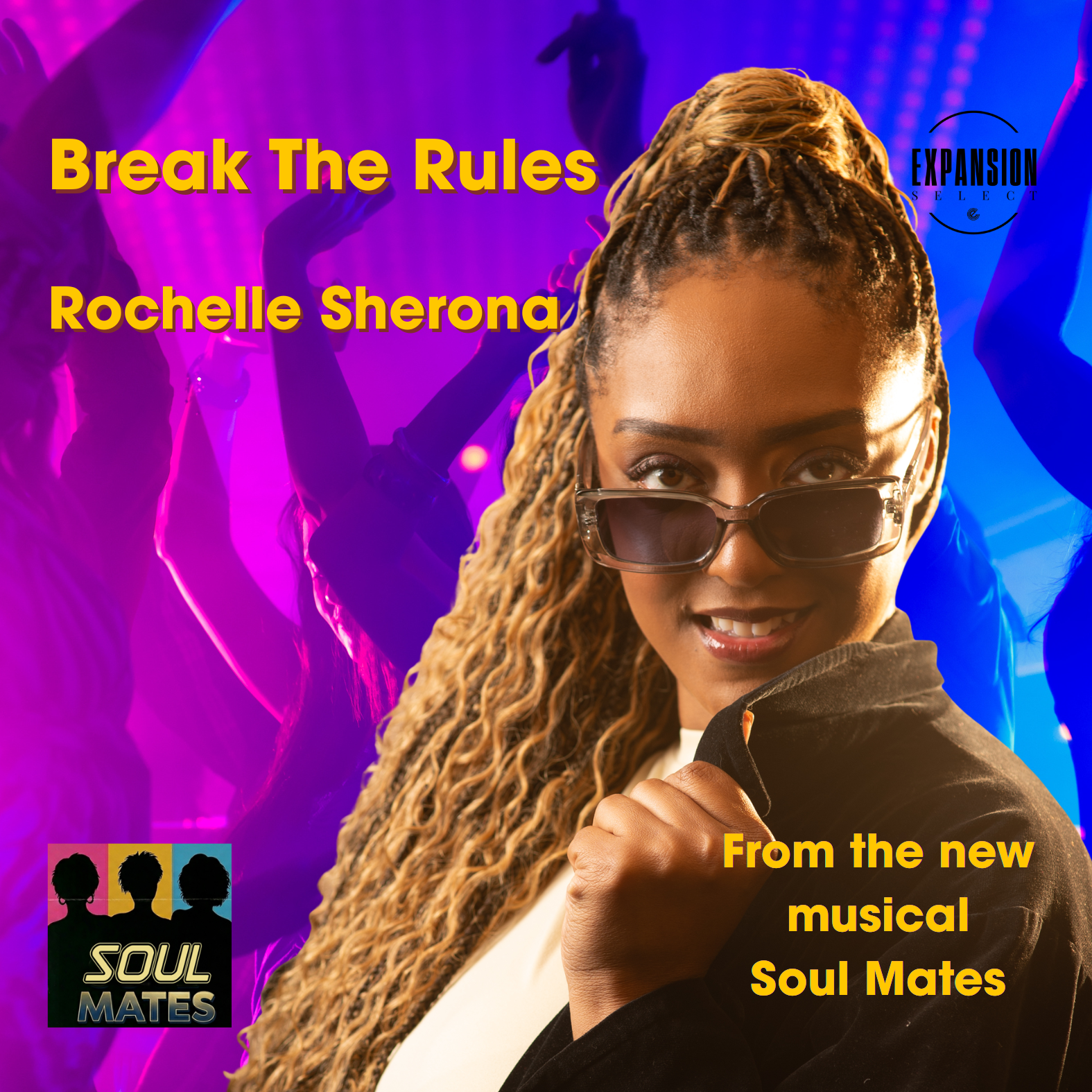 Break The Rules - Rochelle Sherona. Digital Download Single Record.